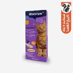 تشویقی گربه وینستون مدل بستنی مرغ و ماهی وزن 120 گرم